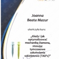 Powiększ obraz: certificate 12