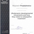 Powiększ obraz: certificate 6