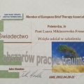 Powiększ obraz: certificate 3