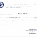 Powiększ obraz: certificate 6