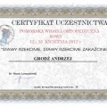 Powiększ obraz: certificate 24