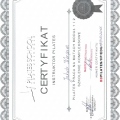 Powiększ obraz: certificate 5