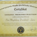 Powiększ obraz: certificate 2