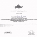 Powiększ obraz: certificate 3