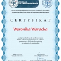 Powiększ obraz: certificate 2