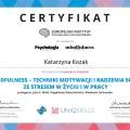 Powiększ obraz: certificate 10