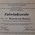 Powiększ obraz: certificate 37