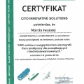 Powiększ obraz: certificate 6