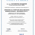 Powiększ obraz: certificate 7