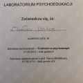 Powiększ obraz: certificate 22