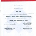 Powiększ obraz: certificate 3