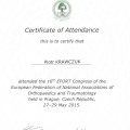 Powiększ obraz: certificate 43