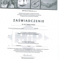 Powiększ obraz: certificate 9