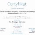 Powiększ obraz: certificate 23