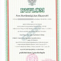 Powiększ obraz: certificate 2