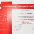 Powiększ obraz: certificate 10