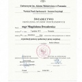 Powiększ obraz: certificate 7
