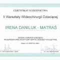 Powiększ obraz: certificate 9
