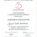Powiększ obraz: certificate 2