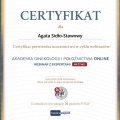 Powiększ obraz: certificate 9