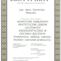 Powiększ obraz: certificate 3