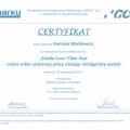 Powiększ obraz: certificate 12