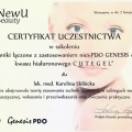 Powiększ obraz: certificate 8