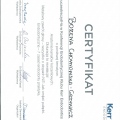 Powiększ obraz: certificate 4