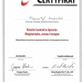 Powiększ obraz: certificate 6