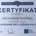 Powiększ obraz: certificate 1