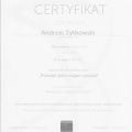 Powiększ obraz: certificate 13