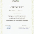 Powiększ obraz: certificate 7