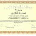 Powiększ obraz: certificate 32