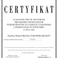 Powiększ obraz: certificate 9