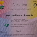 Powiększ obraz: certificate 24
