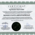 Powiększ obraz: certificate 6