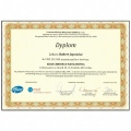 Powiększ obraz: certificate 13
