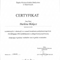 Powiększ obraz: certificate 10