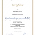 Powiększ obraz: certificate 18