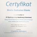 Powiększ obraz: certificate 1
