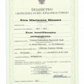 Powiększ obraz: certificate 6