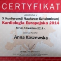 Powiększ obraz: certificate 43