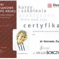 Powiększ obraz: certificate 7