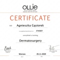 Powiększ obraz: certificate 17