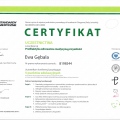 Powiększ obraz: certificate 10