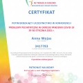 Powiększ obraz: certificate 2