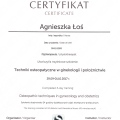 Powiększ obraz: certificate 2