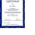 Powiększ obraz: certificate 17