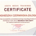 Powiększ obraz: certificate 5