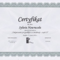 Powiększ obraz: certificate 4